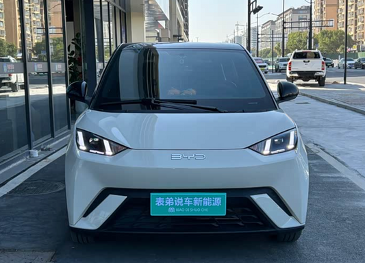 BYD Seagull 2024 405kmFly 20,000km Used