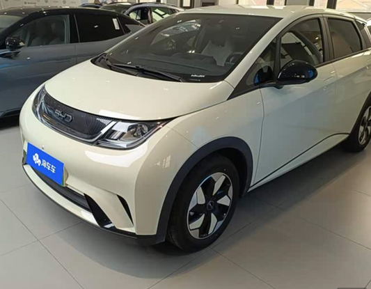 BYD Dolphin (420 km Range) 2024 2,100km Used
