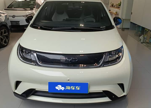BYD Dolphin (420 km Range) 2024 2,100km Used