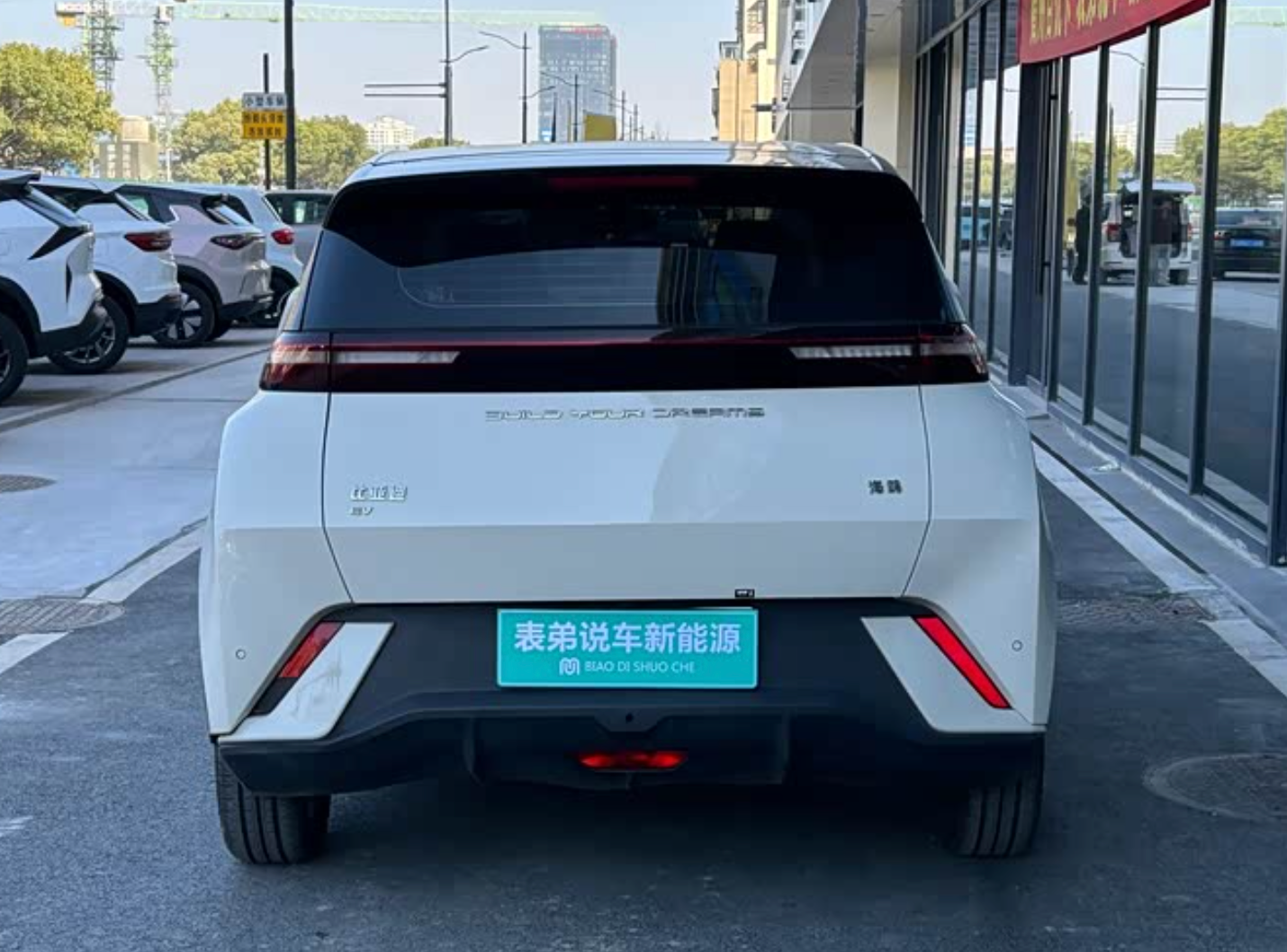 BYD Seagull 2024 405kmFly 20,000km Used