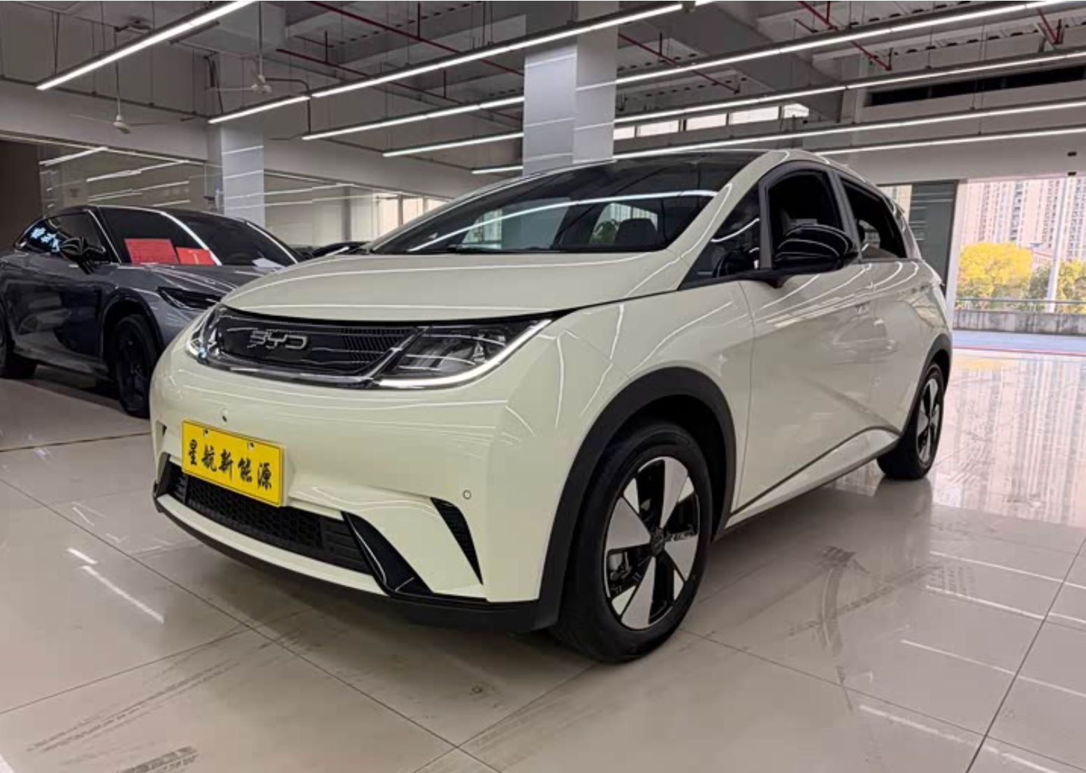 BYD Dolphin (420 km Range) 2023 38,000km Used