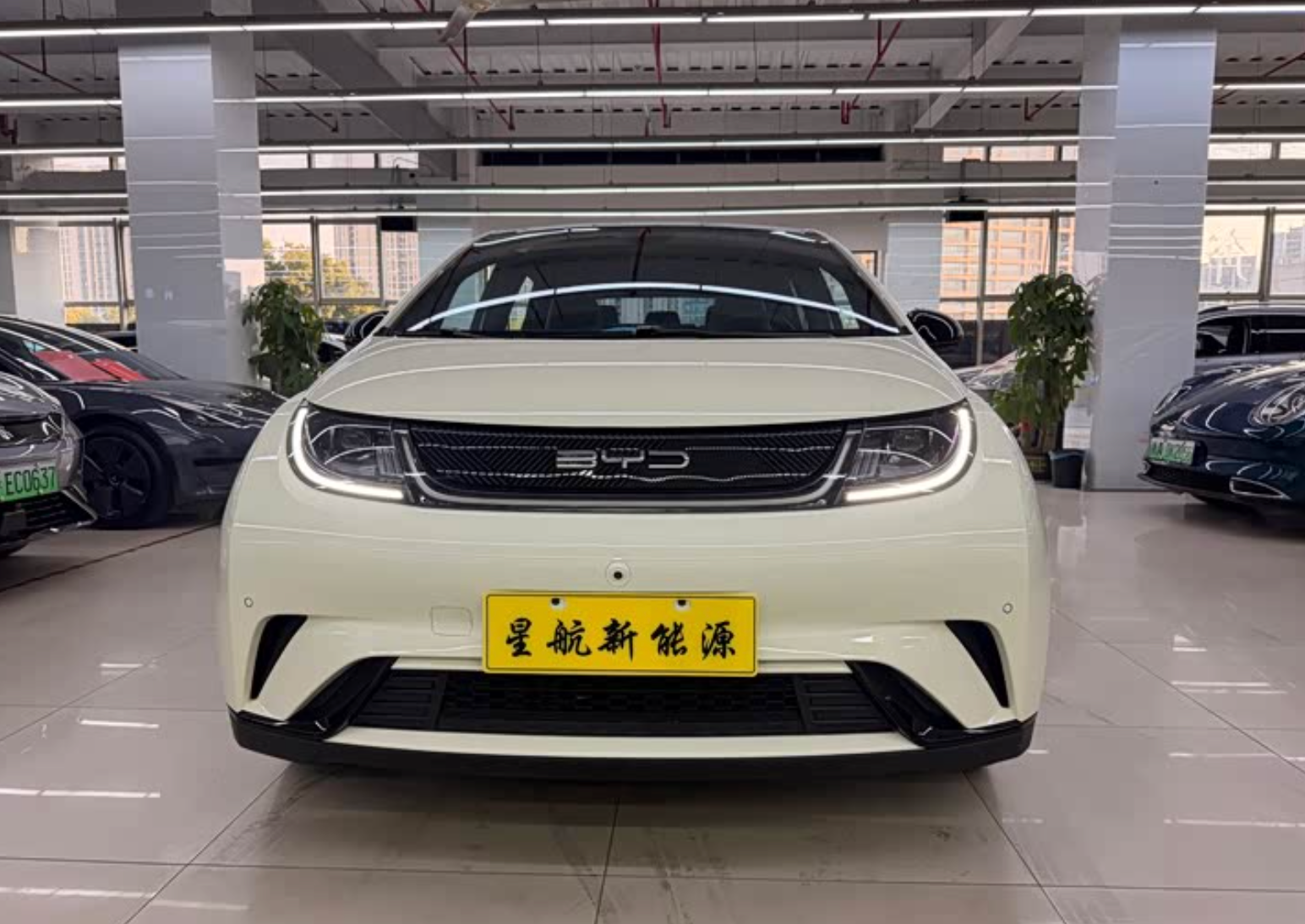 BYD Dolphin (420 km Range) 2023 38,000km Used