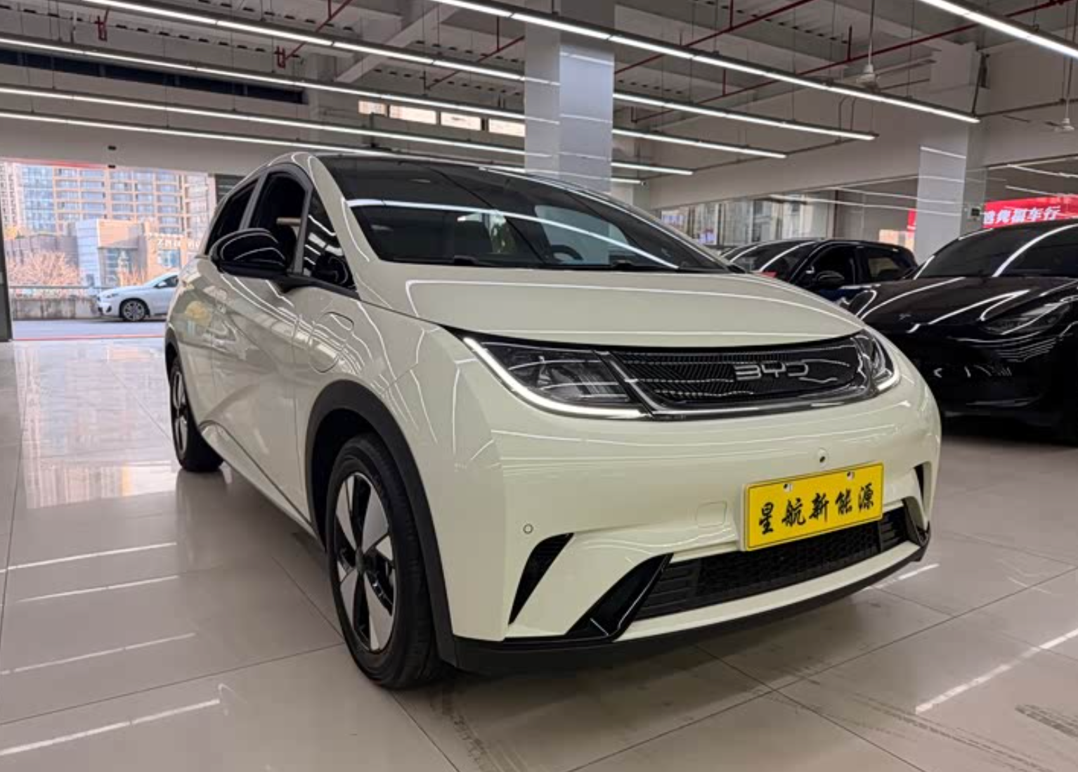 BYD Dolphin (420 km Range) 2023 38,000km Used