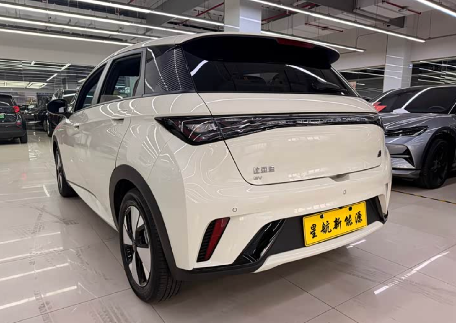 BYD Dolphin (420 km Range) 2023 38,000km Used