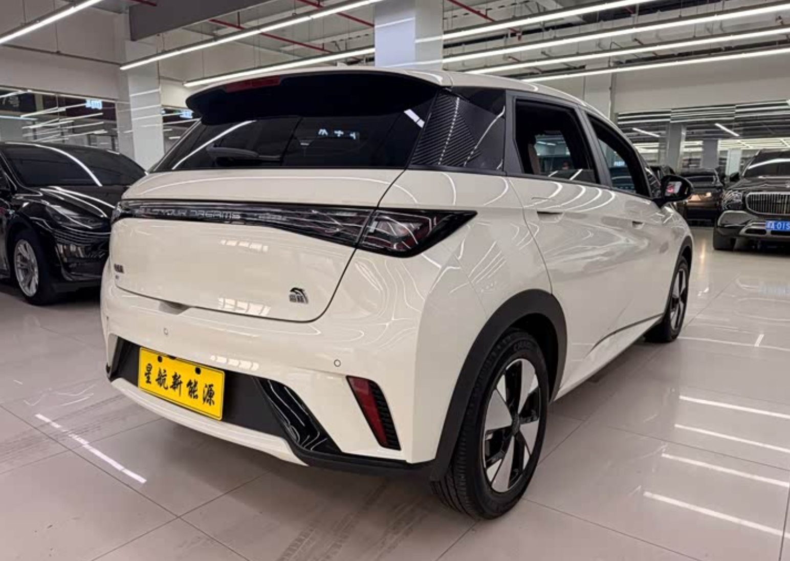 BYD Dolphin (420 km Range) 2023 38,000km Used