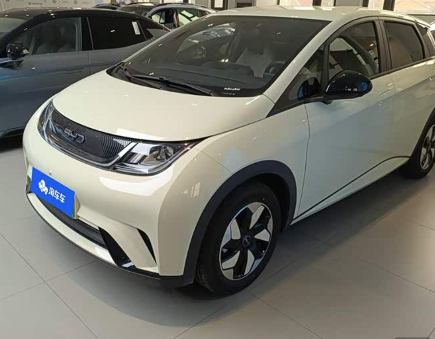 BYD Dolphin (420 km Range) 2024 2,100km Used