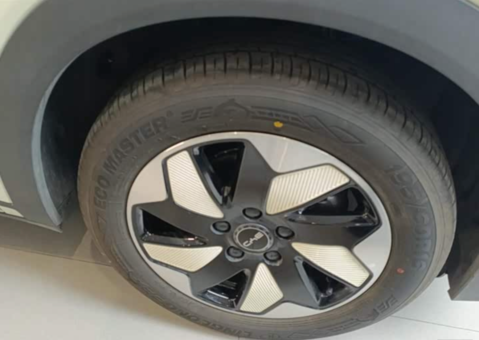 BYD Dolphin (420 km Range) 2024 2,100km Used