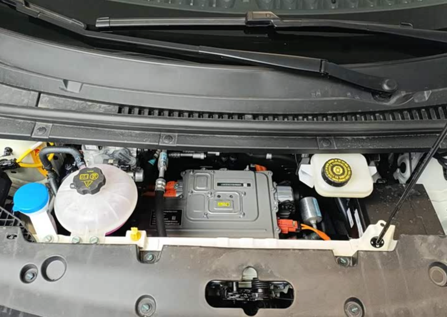 BYD Dolphin (420 km Range) 2024 2,100km Used
